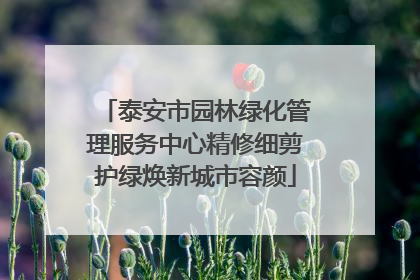 泰安市园林绿化管理服务中心精修细剪护绿焕新城市容颜